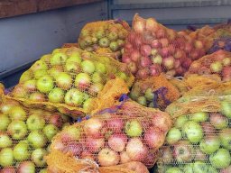 2025-10-17 19.41.29-3